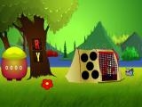Play Macaw escape