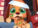 Play Stray puppy pet care game