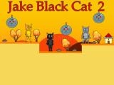 Play Jake black cat 2