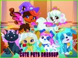 Play Cute pets summer dress up