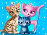 Play Cat hair salon