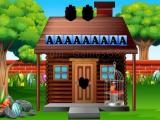 Play Rescue the pirate parrot