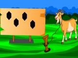 Play G2m rescue the goat 2
