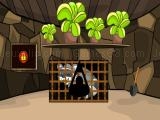 Play Rescue the raccoon