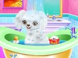 Play My new poodle friend now