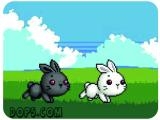 Play Bu bunny two rabbit
