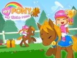 Play My pony : my little race now