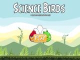 Play Science birds
