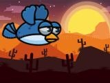 Play Equation bird flyer now