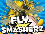 Play Fly smasherz now