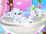 Play Pet groomer now