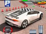 Play Fish parking - parking master now