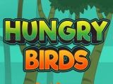 Play Hungry bird now