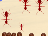 Play Smash all ants now