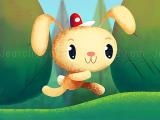 Play Rabbit run