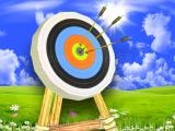 Play Archer master