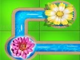 Play Water connect flow now