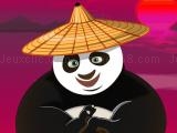Play Kungfu panda dressup now