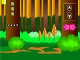 Play Swamp rat escape