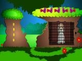 Play Senior dog escape