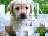 Play Picpu dog now