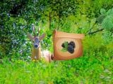 Play Return to alsunga forest now