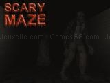 Play Scary maze 3d now