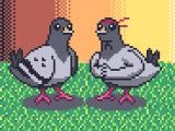 Play Pigeon ascent now