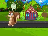 Play Feed the squirrel now