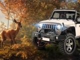 Play Safari jeep car parking sim: jungle adventure