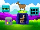 Play Lamb escape now