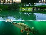 Play Willow pond now