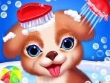 Play Princess pup rescue now