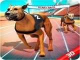 Play Crazy dog race