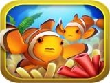 Play Fish garden - my aquarium now