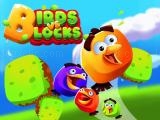 Play Birds vs blocks now