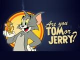 Play Are you tom or jerry? now