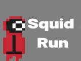 Play Squid run! now