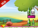 Play Bottle shooting now