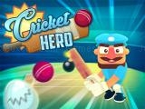 Play Cricket hero