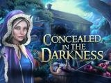 Play Concealed in the darkness