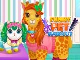 Play Funny pet haircut