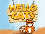 Play Hello cat