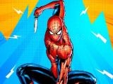Play Spiderman assassin