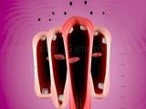 Play Funny chorus