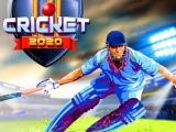 Play Cricket 2020 now