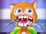 Play Pet house - little friends now