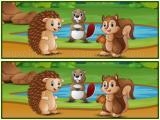 Play Spot the differences forests now