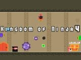 Play Kingdom of ninja 4 now