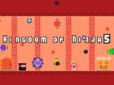 Play Kingdom of ninja 5 now
